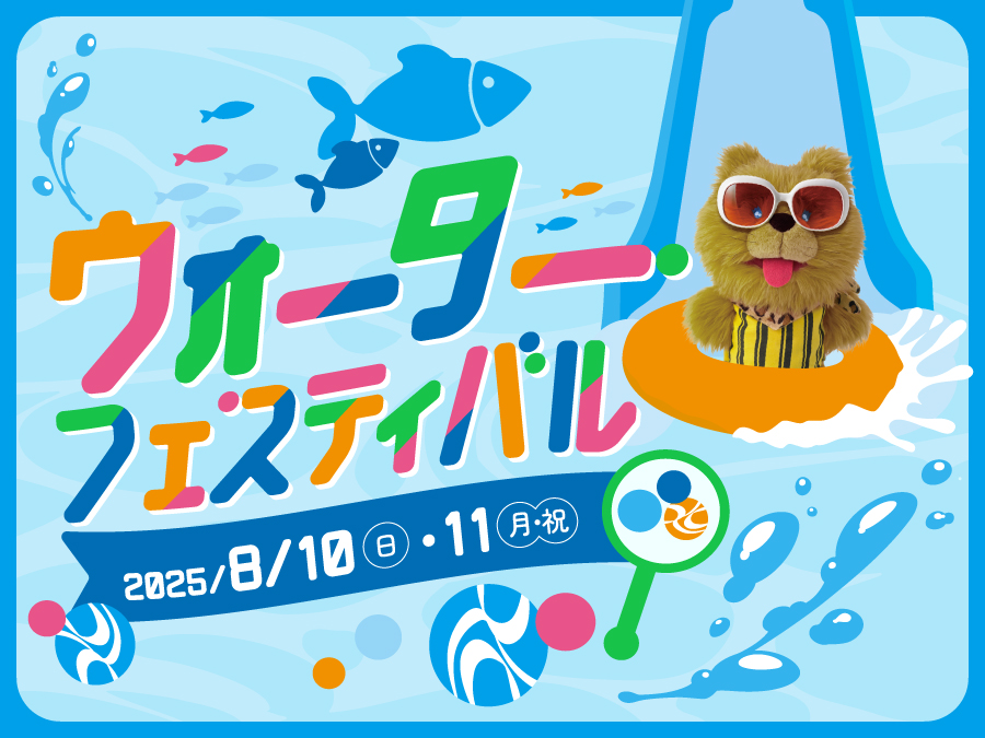 ウォーターフェスティバル