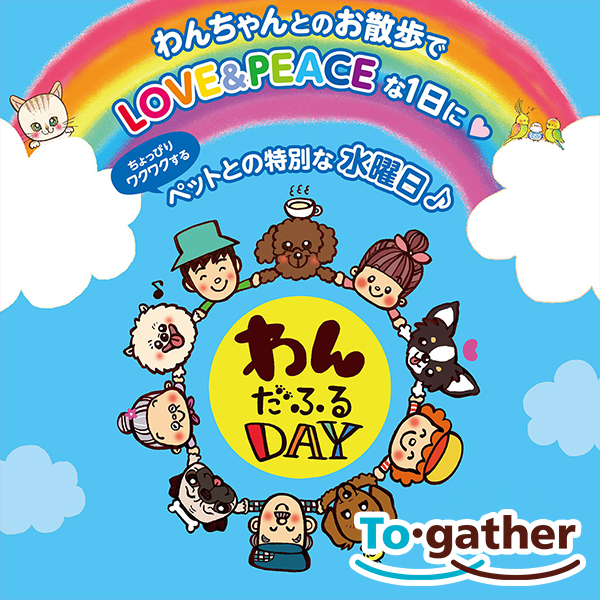 わんだふるDAY